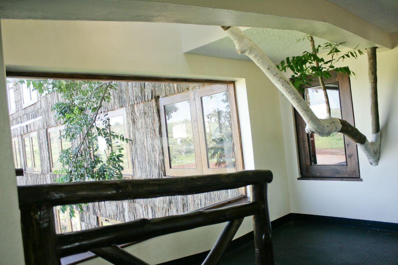 Treetops Mweiga Экстерьер фото