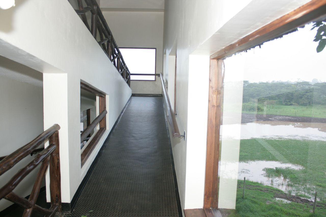 Treetops Mweiga Экстерьер фото