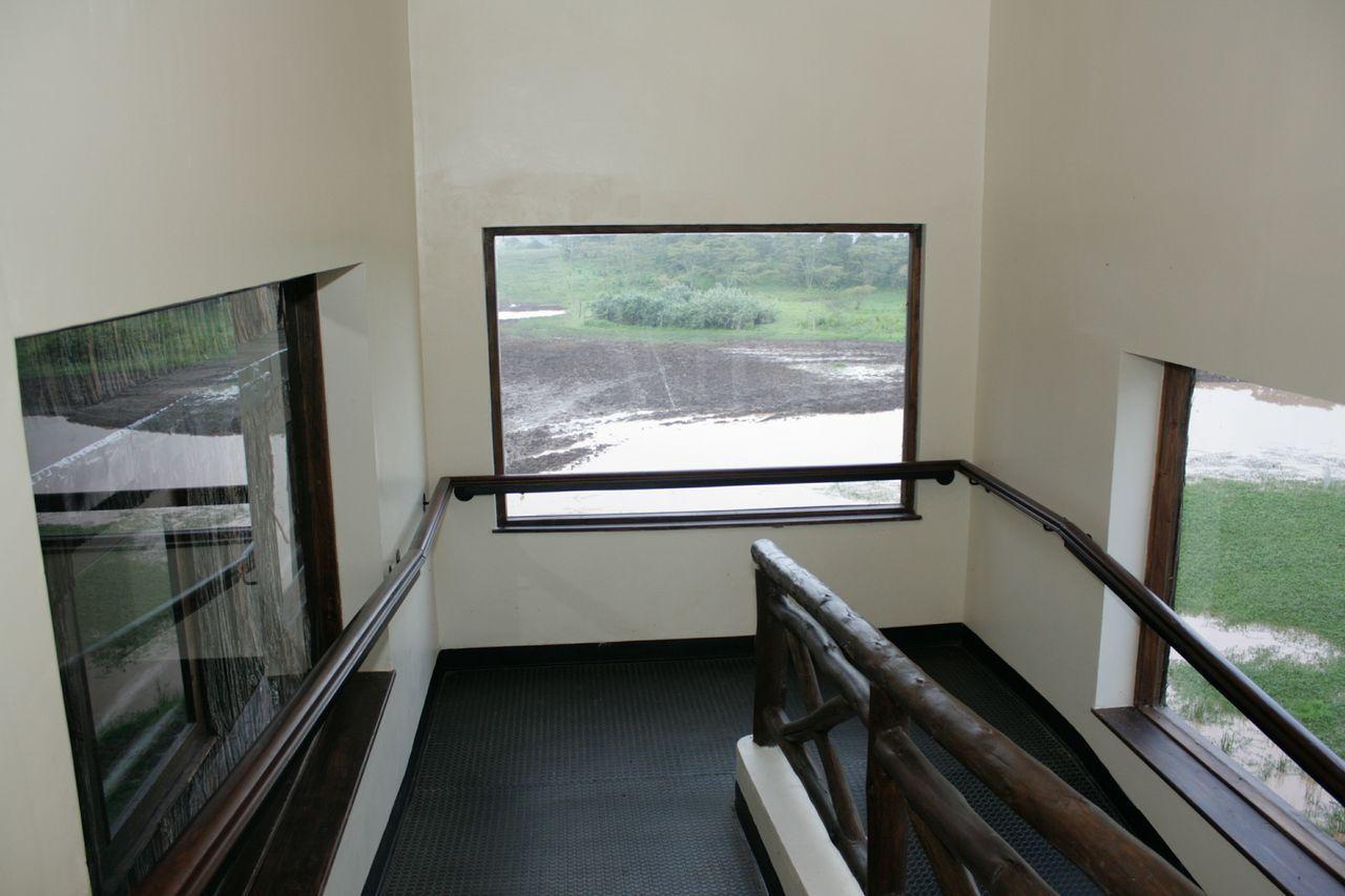 Treetops Mweiga Экстерьер фото